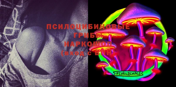 мескалин Богородицк