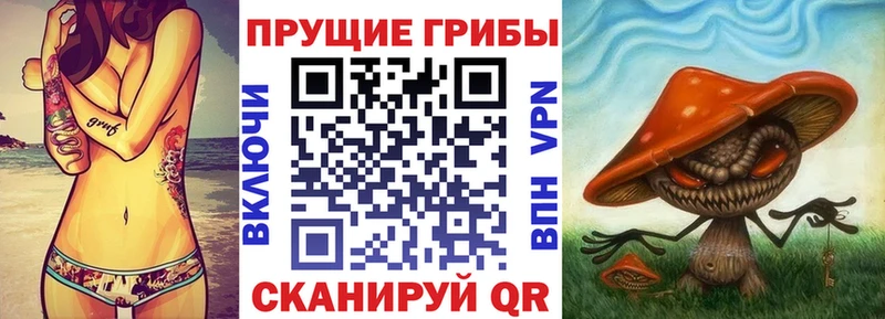 где можно купить наркотик  Северск  Галлюциногенные грибы Psilocybine cubensis 